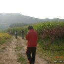 길림농장 이미지