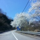 소백산가는길민박 이미지