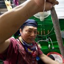 단양토종마늘순대 이미지