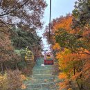 지산 | 광주 가을 데이트 지산유원지 모노레일 리프트 후기