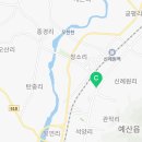 관작리 벚꽃길 이미지