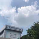 CU 계양대로점 | 8월 4주차 - 의심 : 이게 맞는 짓거리인가 싶지만 (건강과 다이어트의 상관관계/수능원서접수/로티보이...