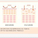 셀라이프 이미지