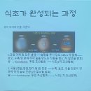 농촌문화체험민박 | 농촌문화체험연구회 월례회 향지촌에서 만난 체험후기