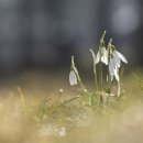 GOGO점핑 다이어트 이미지