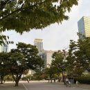 향촌어린이공원 건너편 | [맛집]한강런닝 후 몸보신으로 딱! 여의도 흑염소 요리 맛집, 향촌흑염소 국회의사당직영점