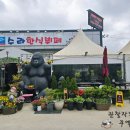 부페 한식 이미지