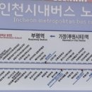 원조통큰밴댕이