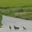 서덕들 화장실 이미지