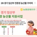싱씽마트 | 2026 임산부 친환경 농산물 지원사업 (친환경 꾸러미) 선정 ! 당첨 🎉 후기와 등록/ 사용 방법 🌽🌾