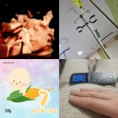 행복한봄정형외과산부인과의원 | 임신 22~24주 차 일상로그, 새해 인사보다 먼저 찾아온 감기, 임산부 컨디션 올리기