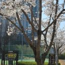 도담공원 화장실 이미지