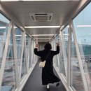 270-2021 | 내돈내산/ 족저근막염의 구원자/액트플러스/10달사용후기