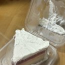 나비엘안양관양갤러리 | 열심히 먹기만 한 24년 8월 일상 기록