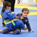 타이거 주짓수 이미지