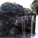 천지연폭포 이미지