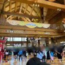 서김해충전소 | 김해 롯데워터파크 주말 오픈런, 매직패스 구입 후기