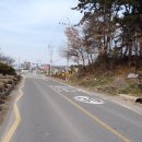 송학초등학교 앞 이미지