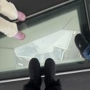 통큰엔설국 | [하코다테 실전 8편] 코난의 별 '고료카쿠 타워' &amp; 시덴(노면전차) 타는 법, 유노카와 원숭이 온천