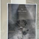 The Rose | [전시] The Rose in Black 전시회 관람후기