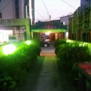 소나무집 이미지