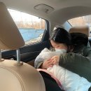 서울검도관 | 와이엘 신후조리원 후기2 / 신생아 황달 입원