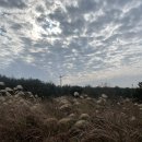 모구리야영장(체력단련장) 이미지