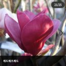 행복림교육문화센터 이미지