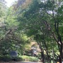 강인 농장 이미지