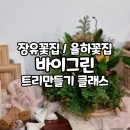 바이그린(by.green) | 장유꽃집, 율하꽃집 / 클래스도 꽃도 완벽한 [바이그린] 트리만들기 클래스