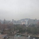 건영스포츠 이미지