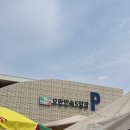 경기도 시장투어 성남 모란시장5일장 추천 :: 호떡, 도너츠, 주차장 꿀팁, 내돈내산 후기