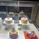 핑크버니 | 노티드 크림버니와핑크가든 홀케익 생일케이크 솔직후기