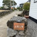 느랏느랏 | [제주] 내돈내산 제주도 애월 독채 감성숙소: 느랏느랏