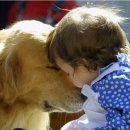 동물은내친구 이미지