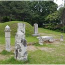 순천-46호 이미지