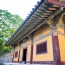 유림조경목재 | 봉정사(경북 안동) 소재지, 역사, 감상 포인트