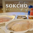 속초 가성비 횟집 청호 활어 회센터 회포장 추천 회가 생각날땐 나룻배!