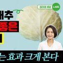 간헐적 단식 식단에 꼭 넣어야 할 음식 양배추 제대로 먹는 법 3가지 이미지