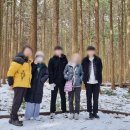 제주렌트로 이미지