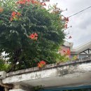 속초 외할머니댁 | 춘천 낙원동, 레트로 감성 카페 크림 라떼 맛집 크로프트 커피