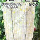 제일농약사2 이미지