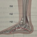 노바디핏