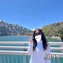 일일 | "일본의 스위스" 나고야 출발 알펜루트 시라카와고 일일투어 후기