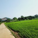 진관2리 마을회관 이미지