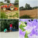 순례농장 이미지