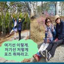 차영숙과 한미자사모가 와 서울식물원을... 이미지