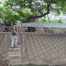 점사주카페 | 난 기도행도, 안드로메다행 잡소리도 언제나 진심이야^^(비둘기가 싫어졌어.ㅠㅠ)