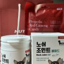 [강아지 영양제] 노쉬 조인트 에이드 | 춘봉브로 공구 후기