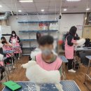 에이치에스교육